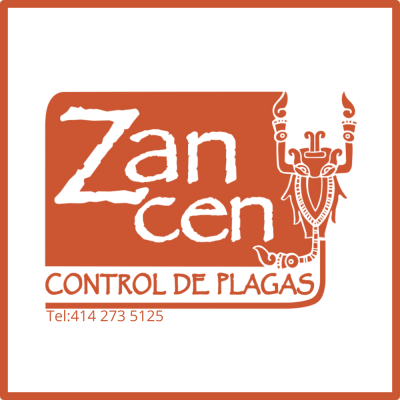 Zancen Fumigaciones
